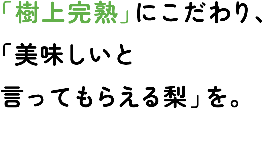 樹上完熟にこだわり、美味しいといってもらえる梨を